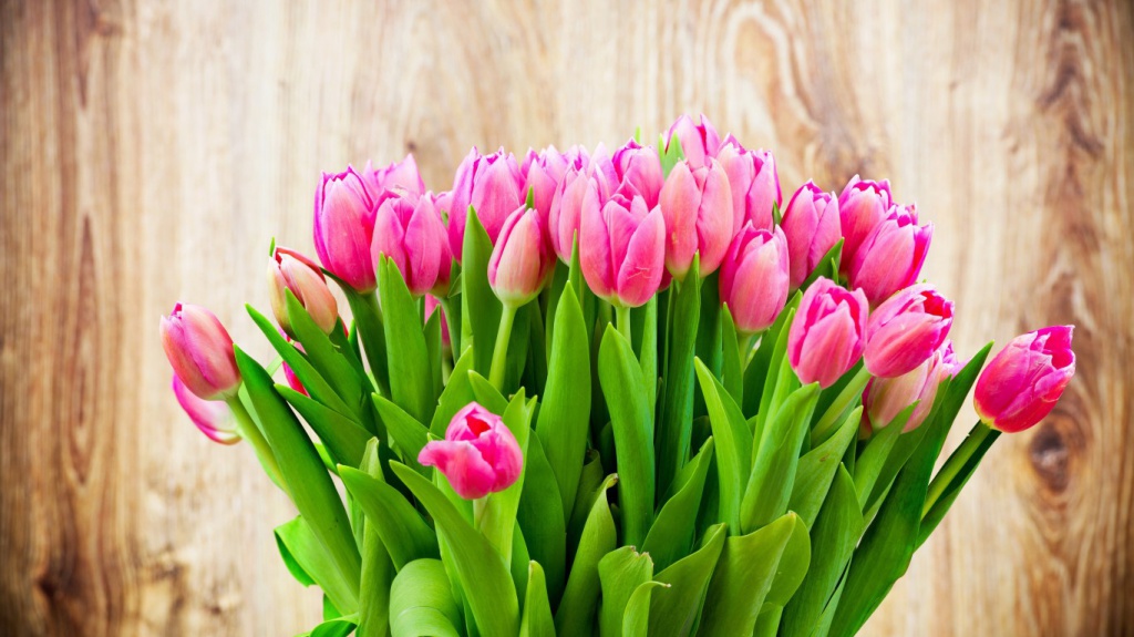 Holidays___International_Womens_Day_Tenderly_pink_tulips_in_a_bouquet_on_March_8_097093_.jpg