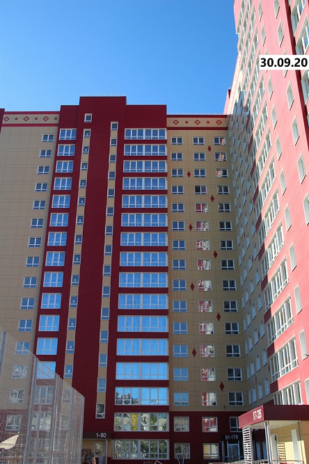 204-53